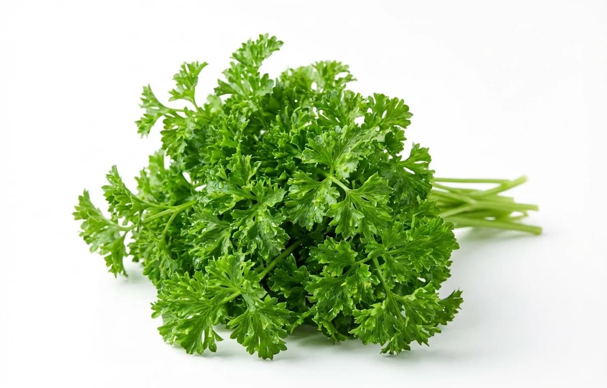 parsley