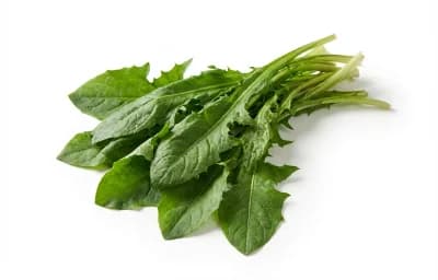 boiled unsalted dandelion greens