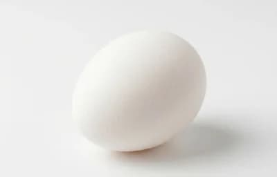 raw white poultry egg