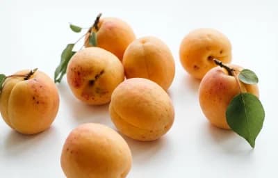 Apricots