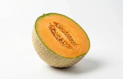 cantaloupe