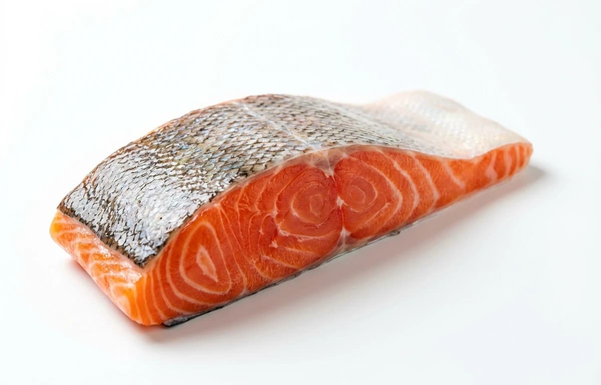 steelhead trout fillet