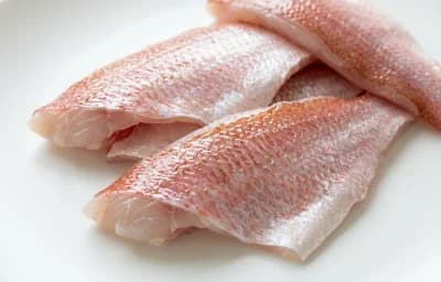red snapper fillets