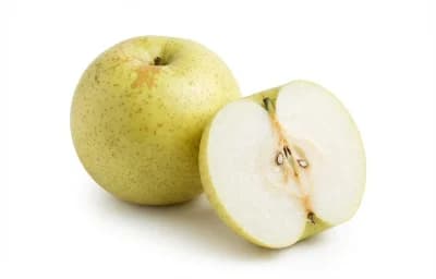 asian pear