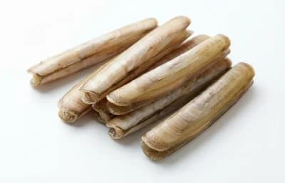 razor clams