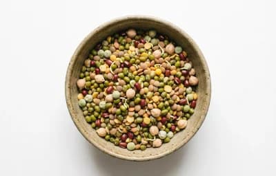 Mixed Sprouted Beans