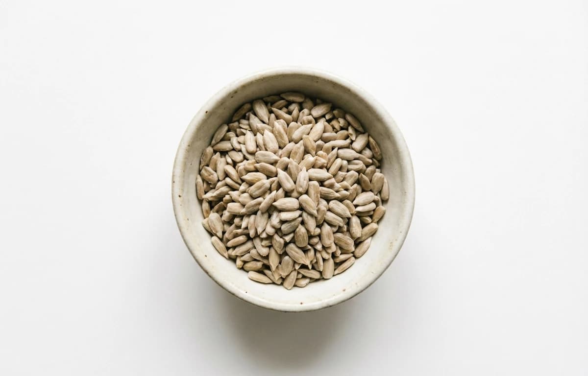 raw shelled sunflower seeds