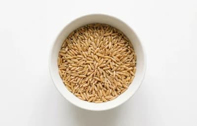 raw khorasan grain