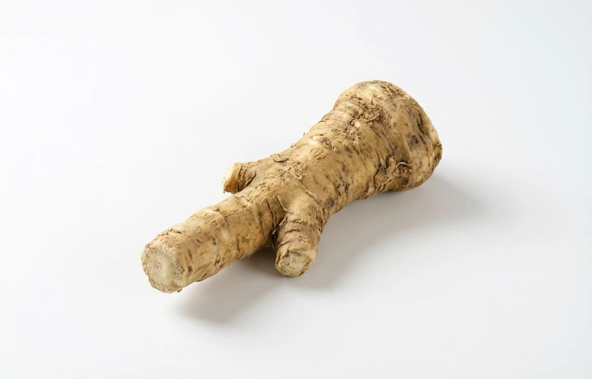 horseradish