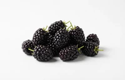 marionberries