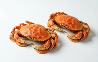 dungeness crabs