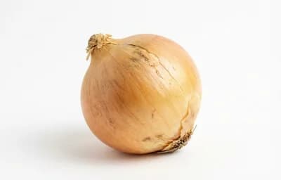 medium onion