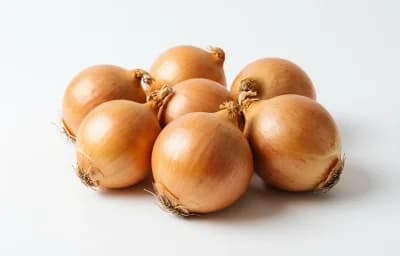 Medium Onions