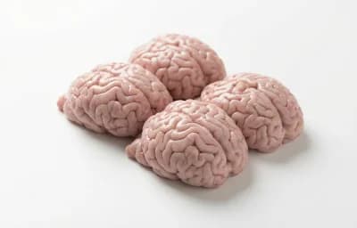 raw New Zealand lamb brains