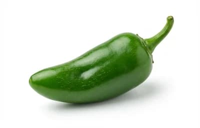 Jalapeño Pepper