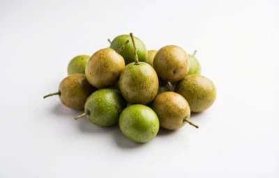 indian olive