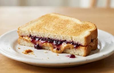 Peanut Butter and Jelly Sandwich